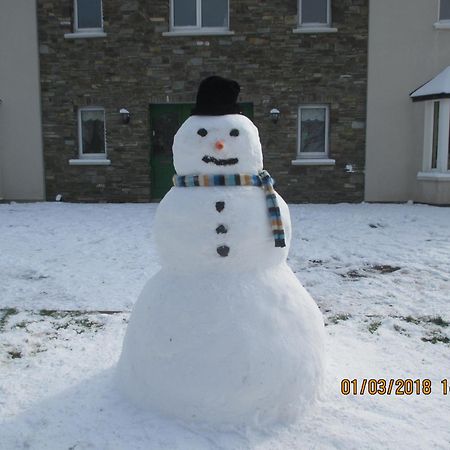 Pk Lodge Bed And Breakfast Skibbereen Exterior foto