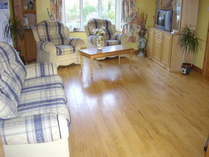Pk Lodge Bed And Breakfast Skibbereen Exterior foto